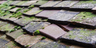 Miserden roof repair costs